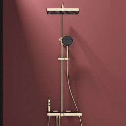 Shower System for Hot and...