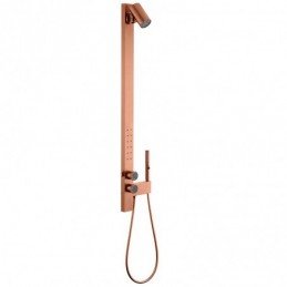 Shower System for Hot and...
