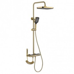 Thermostatic Shower System...