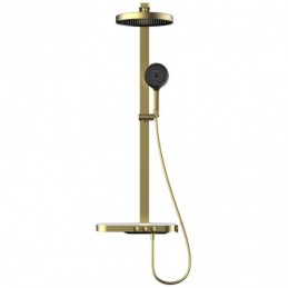 Shower System for Hot and...