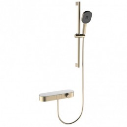 Shower System in Brushed...