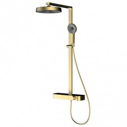Thermostatic Shower System...