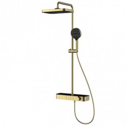 Thermostatic Shower System...