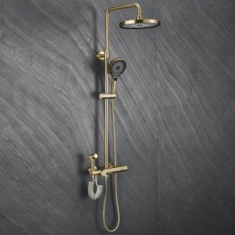 Thermostatic Shower System...