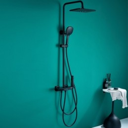 Thermostatic Shower System...