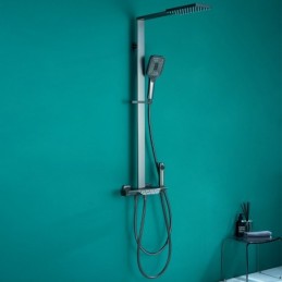 Thermostatic Shower System...