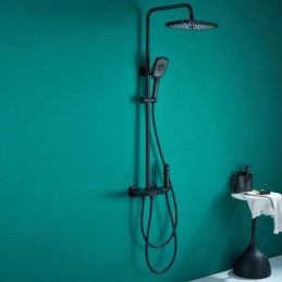 Thermostatic Shower System...